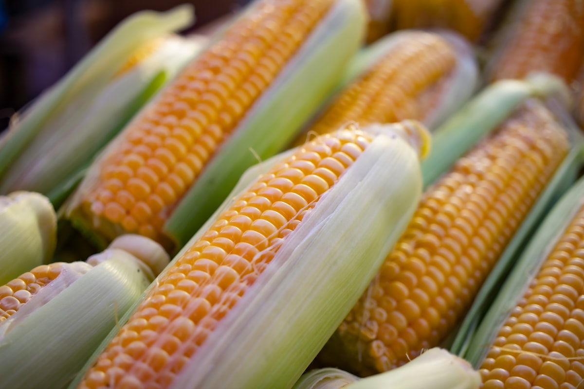 Luteina e Zeaxantina negli Alimenti Ricchi