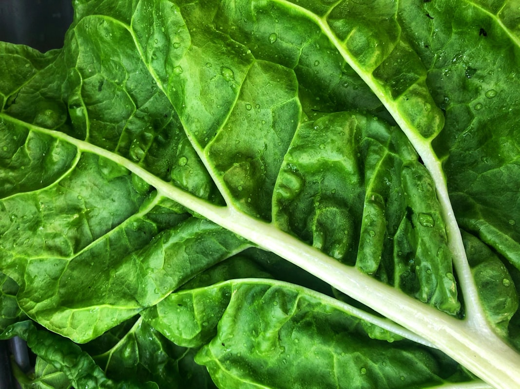 Ricetta insalata verde occhi